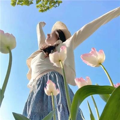 春光灿烂小家丁